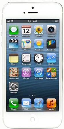Смартфон Apple iPhone 5 32Gb White & Silver - Обнинск