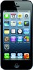 Apple iPhone 5 16GB - Обнинск